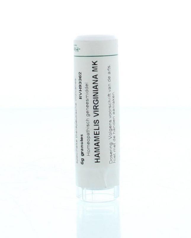 Hamamelis virginiana MK