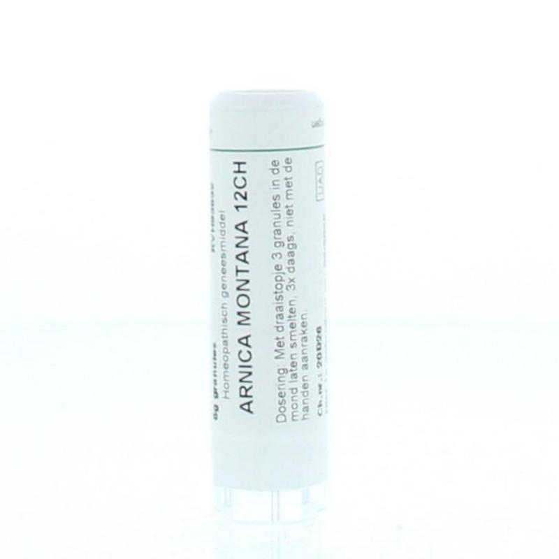 Arnica montana 12CH