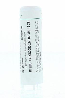 Homeoden Heel Rhus toxicodendron 12CH