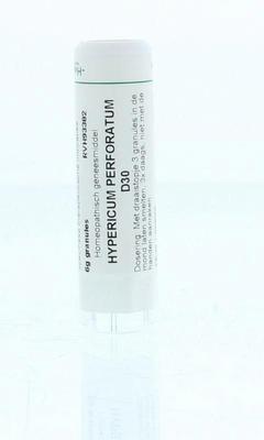 Homeoden Heel Hypericum perforatum D30