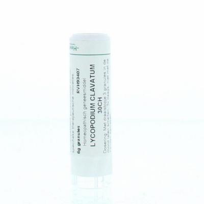 Homeoden Heel Lycopodium clavatum 30CH