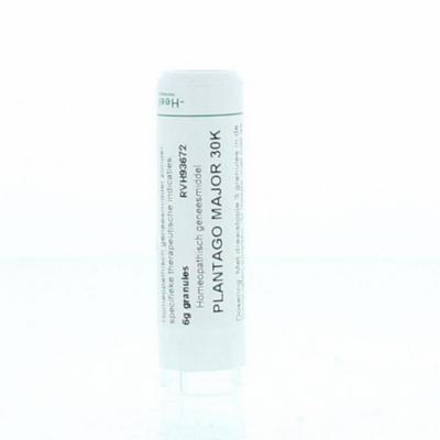 Homeoden Heel Plantago major 30K