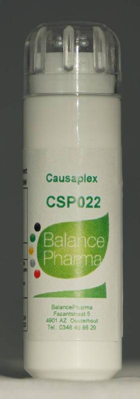 CSP 022 Hypertensode Causaplex