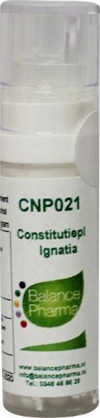 CNP21 Ignatia Constitutieplex