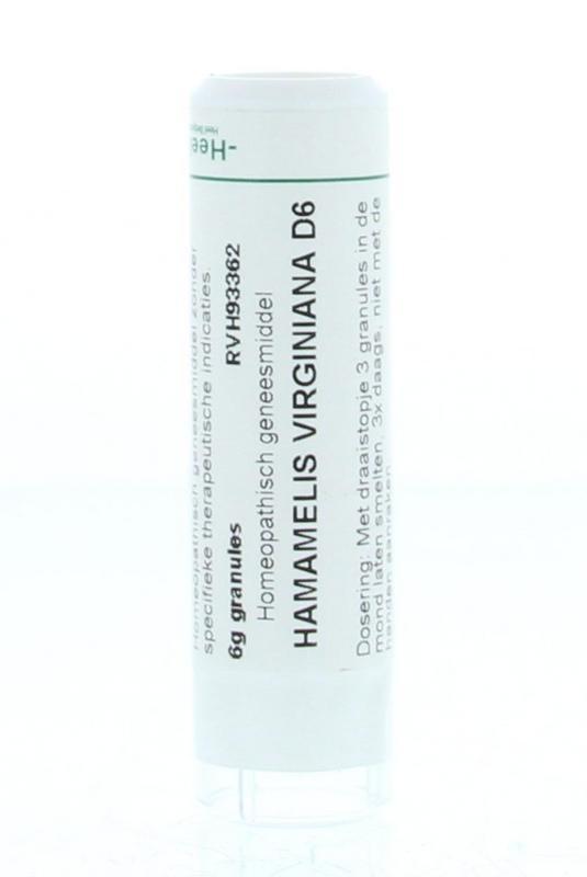 Hamamelis virginiana D6