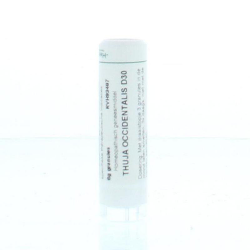 Thuja occidentalis D30