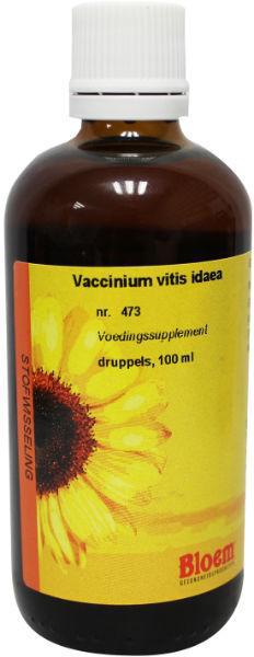 vaccinium vitis 473* 100m