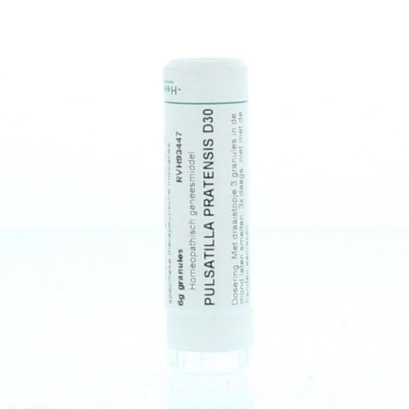 Pulsatilla pratensis D30