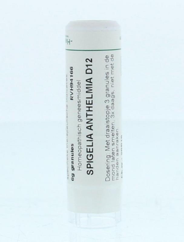 Spigelia anthelmia D12