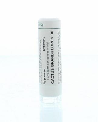 Homeoden Heel Cactus grandiflorus D6
