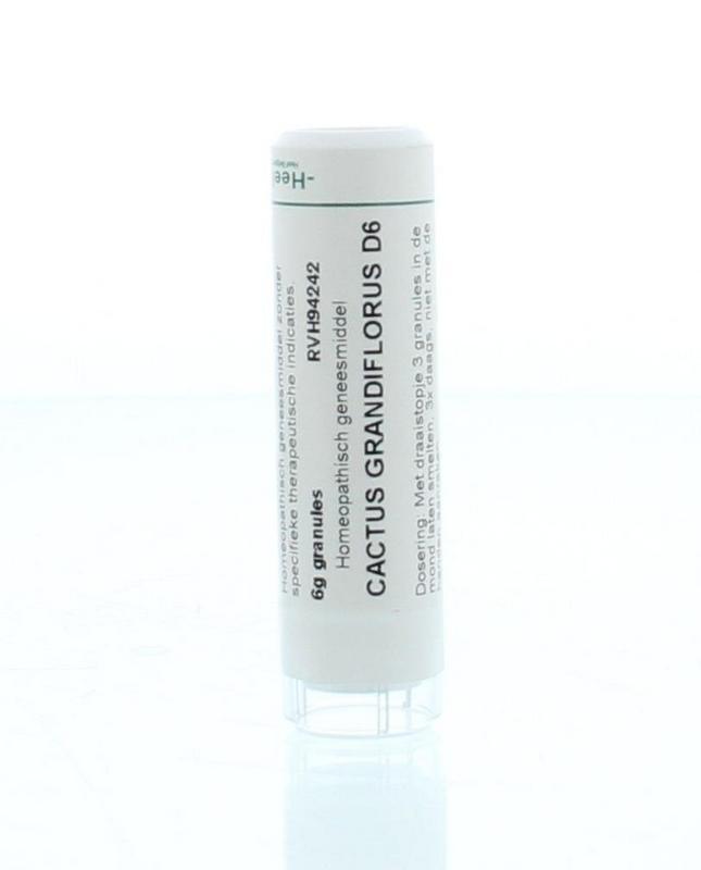 Cactus grandiflorus D6