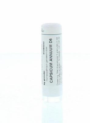 Homeoden Heel Capsicum annuum D6