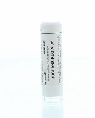 Homeoden Heel Juglans regia D6