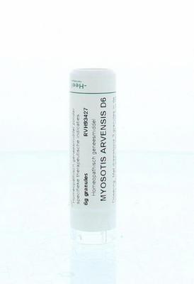 Homeoden Heel Myosotis arvensis D6