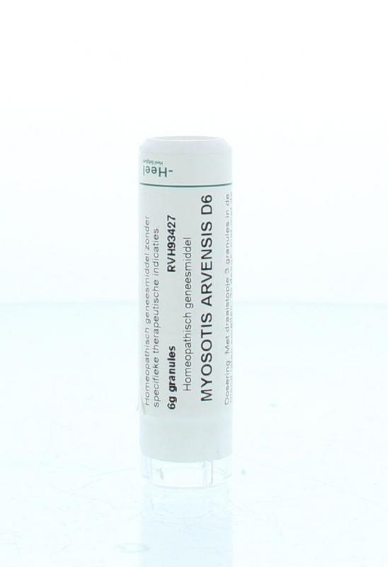 Myosotis arvensis D6