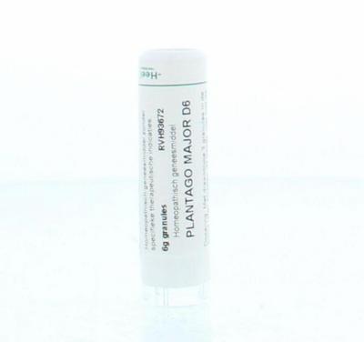 Homeoden Heel Plantago major D6