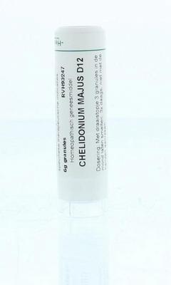 Homeoden Heel Chelidonium majus D12