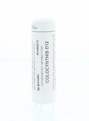 Homeoden Heel Colocynthis D12