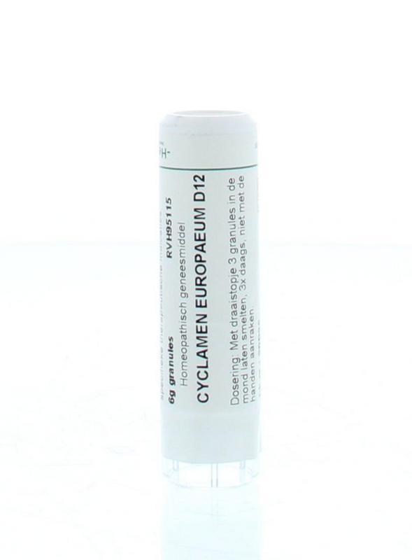 Cyclamen europaeum D12