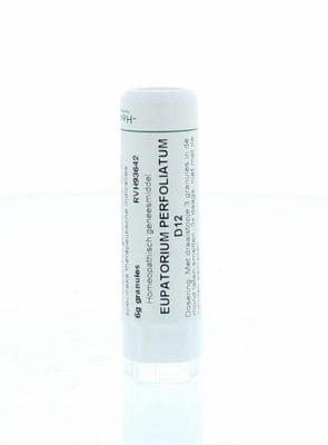 Homeoden Heel Eupatorium perfoliatum D12