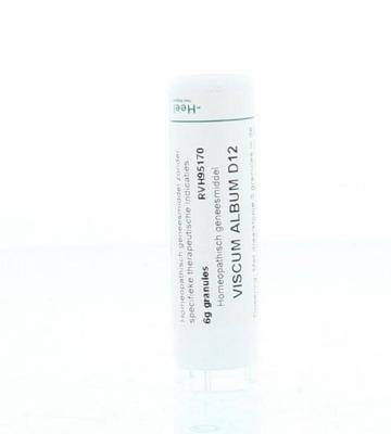 Homeoden Heel Viscum album D12