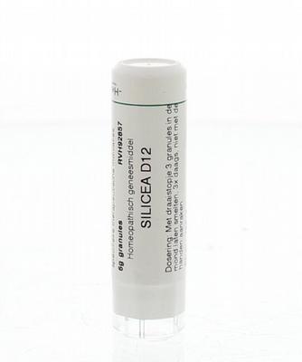 Homeoden Heel Silicea D12