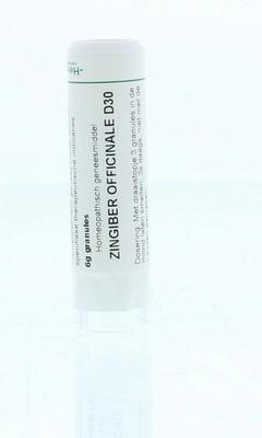 Homeoden Heel Zingiber officinalis D30