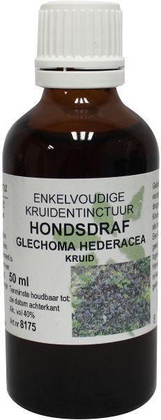Glechoma hederacea/hondsdraf bio