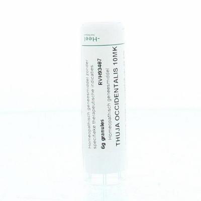 Homeoden Heel Thuja occidentalis 10MK