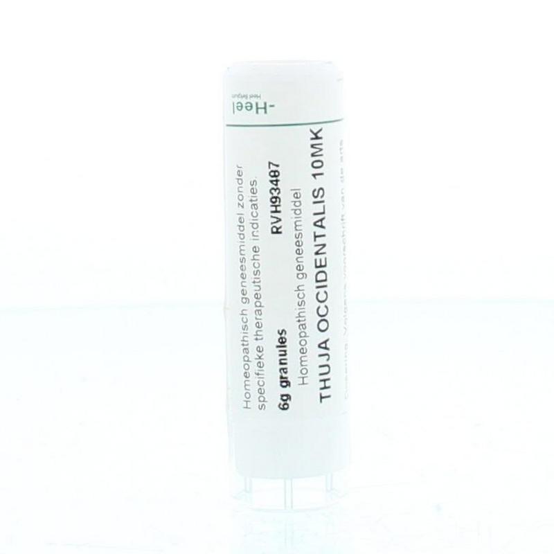 Thuja occidentalis 10MK