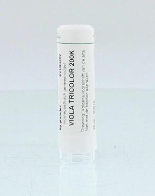 Homeoden Heel Viola tricolor 200K