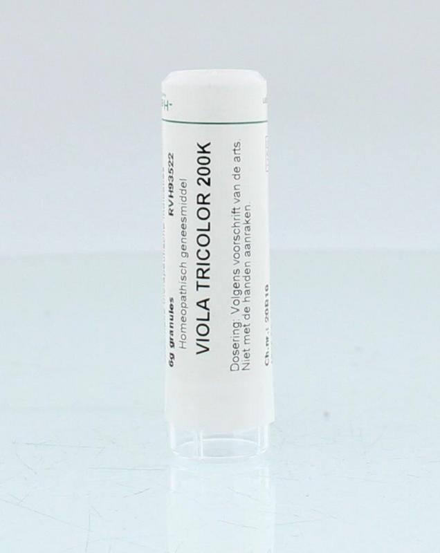 Viola tricolor 200K