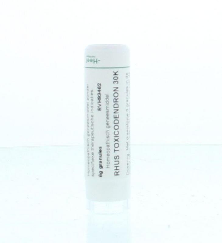 Rhus toxicodendron 30K