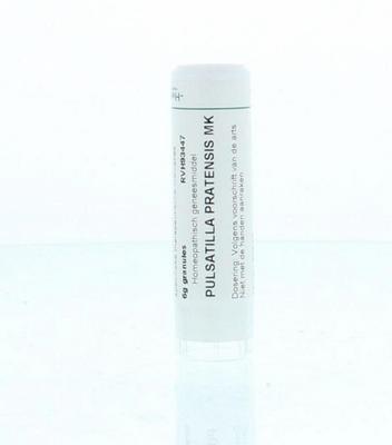 Homeoden Heel Pulsatilla pratensis MK