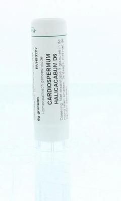 Homeoden Heel Cardiospermum halicacabum D6