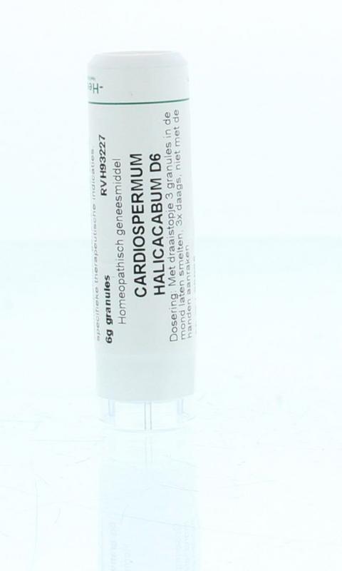 Cardiospermum halicacabum D6