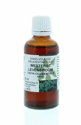 Cruydhof Thuja occidentalis / levensboom tinctuur