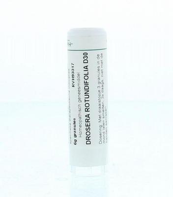 Homeoden Heel Drosera rotundifolia D30