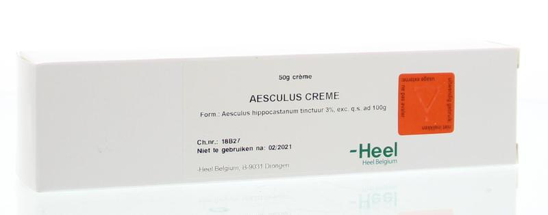 Aesculus creme