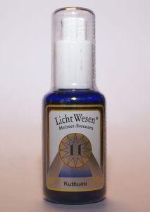 Lichtwesen Kuthumi tinctuur 11