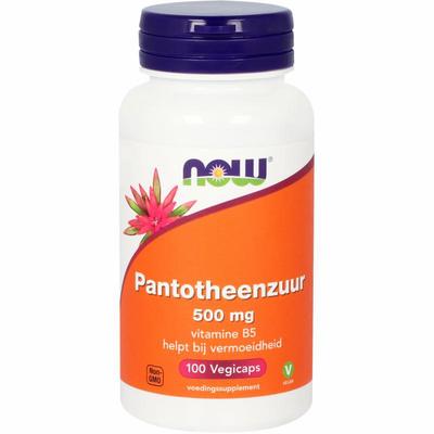NOW Pantotheenzuur 500mg (B5)