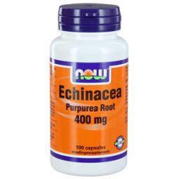 echinacea 400mg - 100st