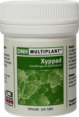 DNH Xyppad multiplant