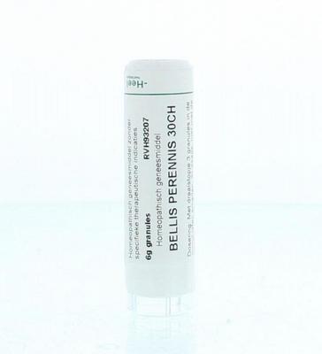 Homeoden Heel Bellis perennis 30CH