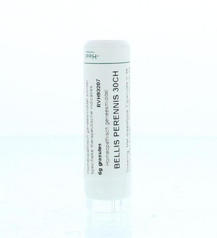 Bellis perennis 30CH