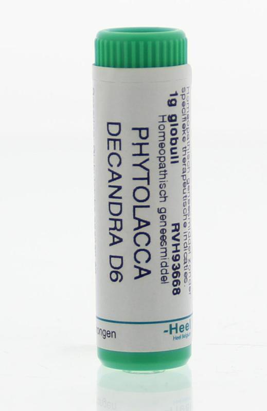 Phytolacca decandra D6