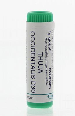 Homeoden Heel Thuja occidentalis D30