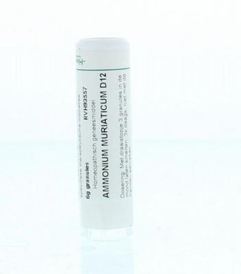 Homeoden Heel Ammonium muriaticum D12