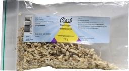 Hydrangea officinalis