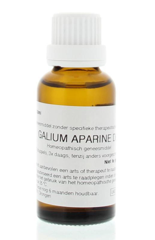 Galium aparine D6
